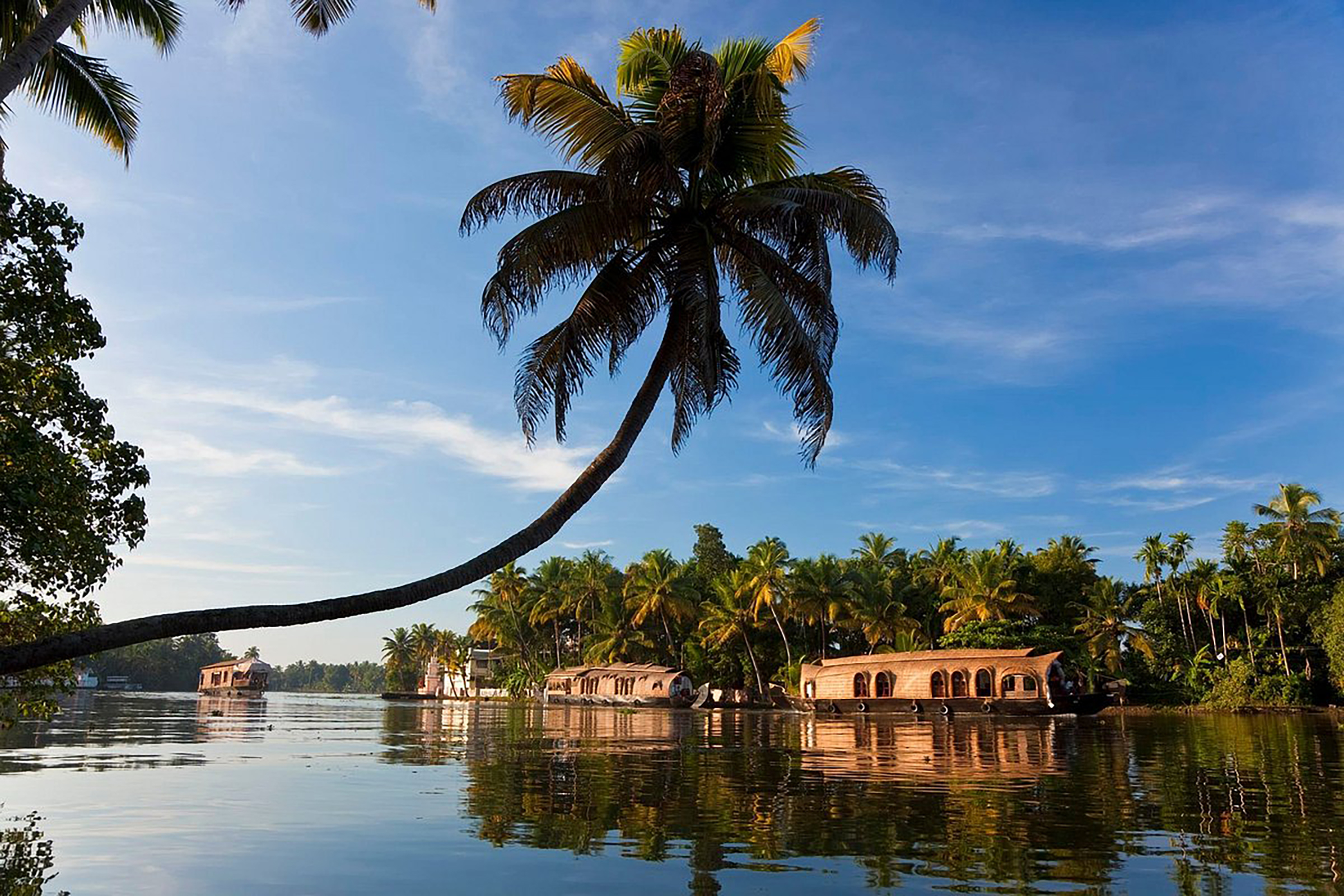 kerala-backwaters-village